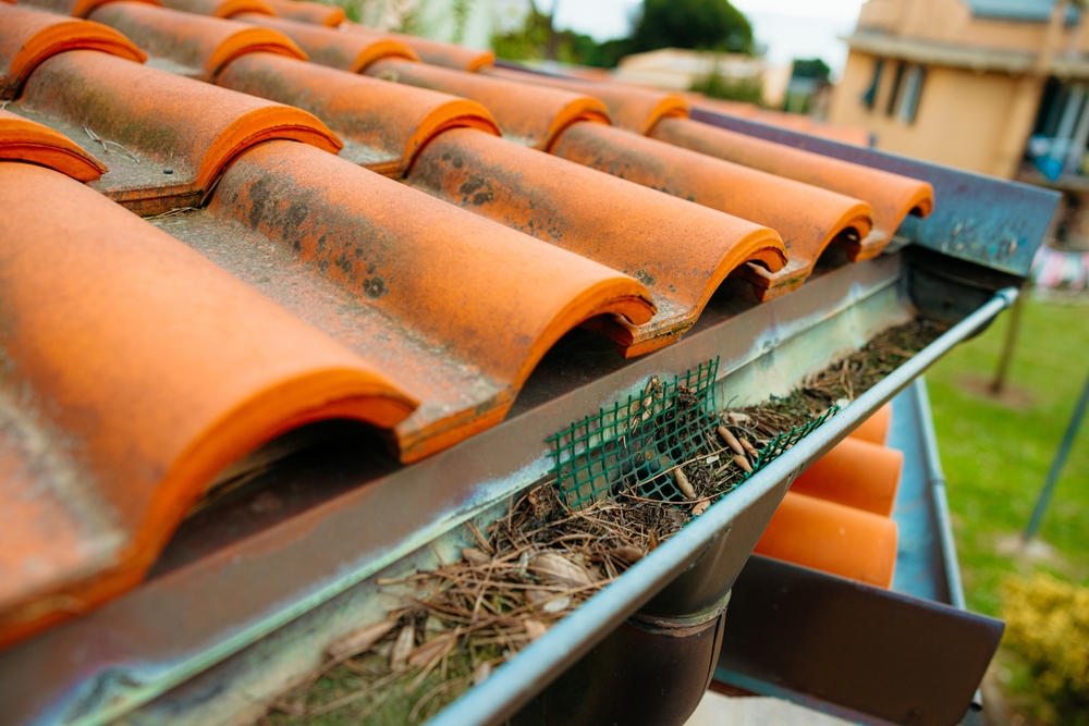 Gutter,Filled,With,Debris,Needs,Cleaning,To,Prevent,Water,Damage